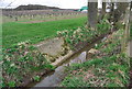 Parsonage Farm Gauging Station