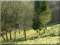 2009 : An almost  dry valley near Castle Combe