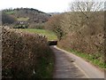 Lane near Chudleigh