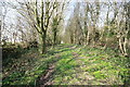 Old Lane to Rawcliffe Lodge