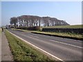 NZ0168 : Military Road at Halton Shields by Joan Sykes