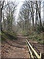 Disused Railway line, Welwyn Garden City