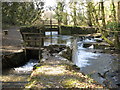 Cotehele Mill, Weir