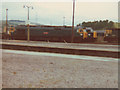 SX8671 : Diesel locomotives at the old Newton Abbot depot by Stephen Craven