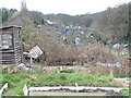 Crouch End allotments