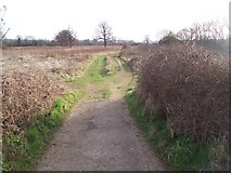 TQ6547 : Footpath to Stone Castle Farm, Whetsted by David Anstiss