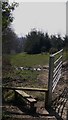 Footpath from Copyhold Lane to Old Glebe, Fernhurst