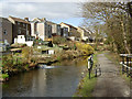 The Swansea Canal at Trebanos