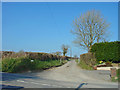 Track to Hafod Farm, Meidrim