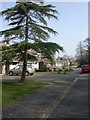 Highcliffe, bungalows