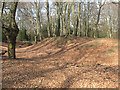 Epping Forest: Ambresbury Banks