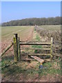 Public Footpath To Kettles Wood, Frankley