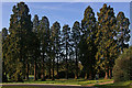 Redwoods, Royal Earlswood Park