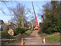 Tree Surgery in The Causeway, Peasenhall