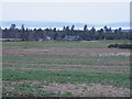 Whinhill across farmland