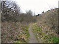 Footpath from Hinton Grove