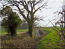 ST2536 : Lane to Rexworthy Farm [1] by Ken Grainger