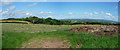 Mid Devon : Berry Farm Fields