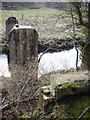 Remains of footbridge over the Deveron