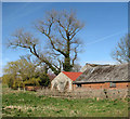 Barns at Home Farm