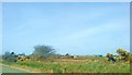 Farmland near Hayscastle