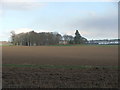 Parkburn Farm from Montrose