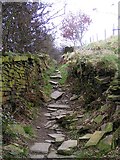 SE1125 : Sunken Footpath connecting Shibden Valley with Magna Via by Michael Steele