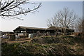 Barns with cattle