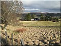 Looking over Strathardle