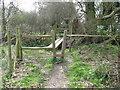 Obstacle course near Henfield