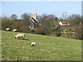 The church at Eastry from near Hay Hill