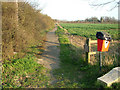 Footpath east, Creeting St. Peter