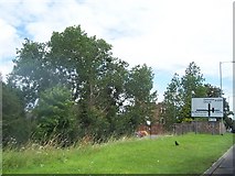 ST2425 : Taunton : Toneway Roadside by Lewis Clarke