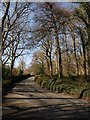 Road near Holne Chase