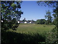 Cullompton : Countryside looking toward St Andrew