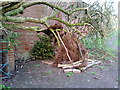 Den by Woodthorpe Grange