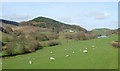 Carmarthenshire pastureland north of Cwrt-y-Cadno