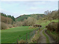 Pastureland by Blaen Rhisglog, Carmarthenshire