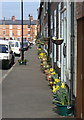 Flowered terrace