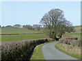 The lane from Ffaldybrenin, Carmarthenshire