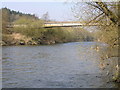 River Severn, Severn Trent sewage treatment works bridge