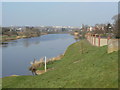 River Trent at Wilford