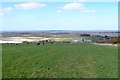 Countryside near Holworth