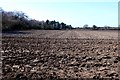 Ploughed Field near Redbridge