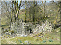 Ruins at Bryn Ambor, Cwm Pysgotwr Fawr, Ceredigion