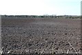 Ploughed field near Tadnoll