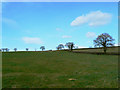 Farmland east of Braydon Side