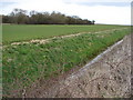 Skirbeck Drain and wood beyond