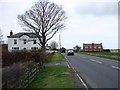 A1104 near Grange Farm