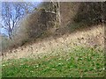 Rough grazing near Shermel Gate